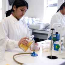 Students performing tests in a lab